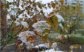 После аномального тепла в Красноярск придет промозглая погода с заморозками