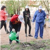 Волонтеры экологической акции РУСАЛа высадили более 800 молодых деревьев