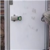 На Ярыгинской набережной вандалы взломали теплый туалет (видео)