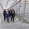 В Туле построили мост из красноярского алюминия 