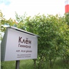 На Красноярской ТЭЦ-1 высадили еще 40 редких видов плодовых деревьев