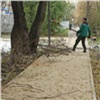 «Пришло время лечить»: в Красноярске начался сезон обрезки деревьев