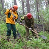 В Красноярском крае сгорело в 5 раз меньше леса, чем годом раньше