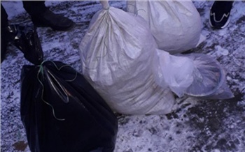 У жителя Красноярского края изъяли более 11 кг наркотиков