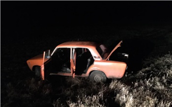 В Минусинском районе пьяный водитель ВАЗа слетел с дороги: погибла 9-летняя пассажирка