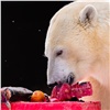 Белым медведям в красноярском зоопарке устроили праздник с тортом 