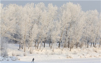 «Спорт на карантине»: где в праздники можно покататься на лыжах, коньках и плюшках в Красноярске?