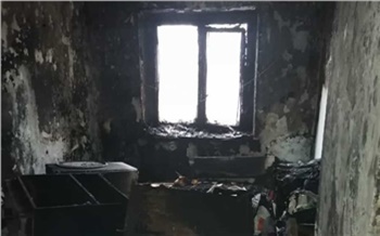 В Хакасии 2-летний мальчик сгорел при пожаре. Дома он был один с 5-летним братом