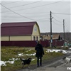 Повторные случаи коронавируса и снос поселка под Норильском: главные события в Красноярском крае за 15 декабря