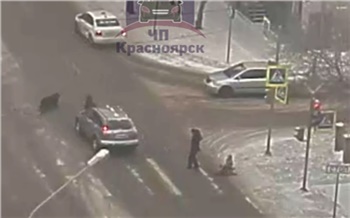 «Тупо ехал на красный»: на улице Ладо Кецховели пожилой водитель сбил ребенка и мужчину