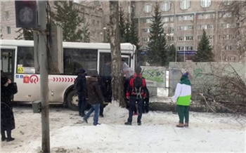 В Красноярске водителю автобуса стало плохо за рулем и он врезался в дерево