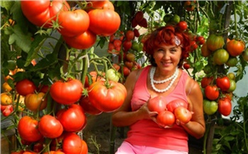 Создательница «Помидорного рая» из Минусинска благодаря своему блогу стала «интернет-звездой»