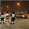 В последние выходные января в Красноярске поймали 40 пьяных водителей (видео)