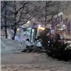 «Люди выпрыгивали на ходу»: потерявший сознание водитель автобуса на Свободном врезался в дерево