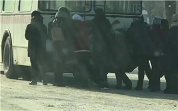 «Попал в „обесточку“»: в Красноярске пассажиры пытались дотолкать вставший троллейбус
