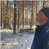 Поверженные сосны и выговор за снежные завалы: главные события в Красноярском крае за 10 февраля