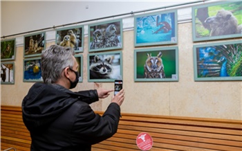 Экологическая фотовыставка на железнодорожном вокзале Красноярска стала интерактивной