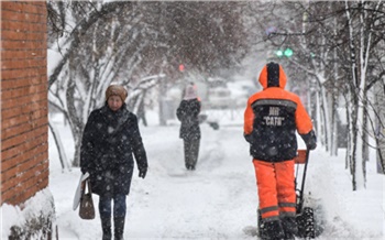 Чистые тротуары, грязный воздух, снос павильонов: главные события в Красноярском крае за 15 февраля