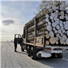 На юге Красноярского края задержали грузовик с лесом без документов: могут забрать груз и машину (видео)