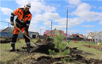 «Дерево — это жизнь»: в шахтерских городах Красноярского края высадят молодые кедры, сосны и липы