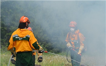 В Красноярском крае потушили первый в этом сезоне лесной пожар