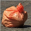 Красноярцев просят сообщать о не вывезенном после субботника мусоре