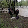 На юге Красноярского края больше суток искали пропавших в затопленной паводком тайге сборщиков черемши (видео)