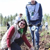 Сбер в Красноярске поддержал акцию «Сад памяти»