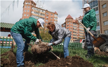 Волонтеры «Зеленой волны» высадили более 1300 саженцев в Красноярском крае