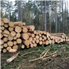 Контрабанду леса на 40 миллионов пресекли в Красноярском крае