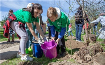 «Мы все хотим, чтобы город был зеленым и цветущим»: как прошел весенний экомарафон «Зеленая неделя» в Красноярске