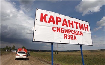 Тувинское село закрыли на карантин из-за сибирской язвы