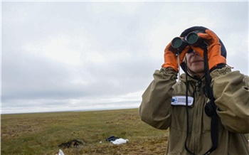 «Академический подход к полевым исследованиям»: Сибирское отделение РАН направит в Арктику Большую норильскую экспедицию