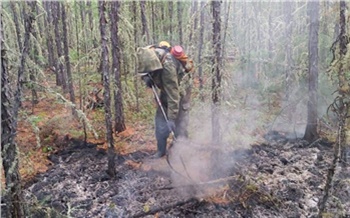 Заповедник на севере Красноярского края закрыли для туристов из-за опасности пожаров