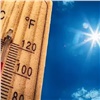 Лето 2021 года стало рекордно жарким в России