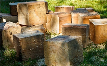 Губернатор пообещал раздавать отходы лесопиления нуждающимся в дровах жителям Красноярского края