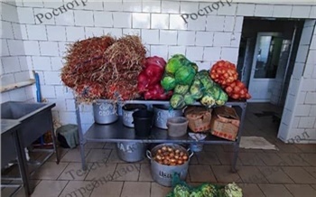 В столовой популярного красноярского курорта изъяли 245 кг опасных овощей