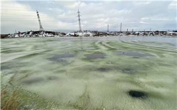 Озеро в Норильске окрасилось в зеленый цвет: названа причина