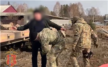 Рубившего кедры и сосны жителя Красноярского края задержали со спецназом и арестовали