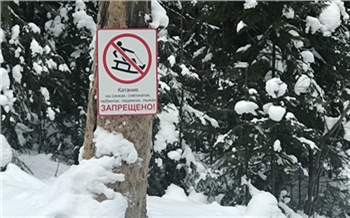 На красноярских «Столбах» появились знаки о запрете катания на санках, снегокатах и тюбингах