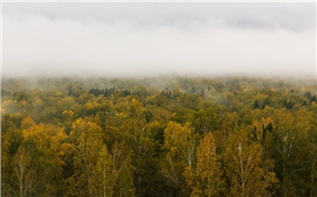 В малых городах Красноярского края определят источники загрязнения атмосферного воздуха