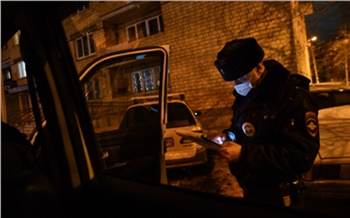 В Большемуртинском районе полицейские в седьмой раз задержали пьяного бесправника