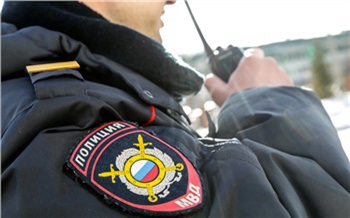 В Березовке пьяный водитель после погони закрылся от полиции в своем «Ниссане»