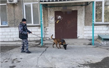 В Ачинском районе полицейский пес Зигер помог раскрыть кражу 145 тысяч рублей