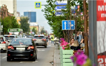 «Кизильник и рябина вместо черемухи и липы»: центральную улицу Красноярска будут озеленять по-новому