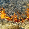 С начала года в Красноярском крае возбуждено более 140 административных дел за выжигание травы