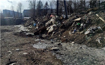 На ликвидацию свалок в Центральном районе Красноярска потратят рекордную сумму
