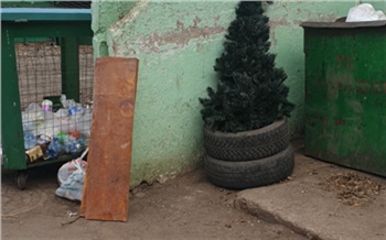 Земля, дрова и новогодние ёлки: в КРК рассказали, что красноярцы выбросили в мусор за весну