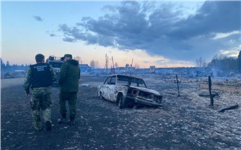 СК сообщил о задержании трех энергетиков после массовых пожаров в Красноярском крае. Число жертв увеличилось до восьми