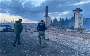 В Красноярском крае возбудили 19 уголовных дел в связи с бушевавшими 7 мая пожарами